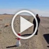 Ничего милее сегодня (а может и на этой неделе) вы уже не увидите