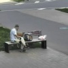 В ЖК Пригород Лесное мужчина вывел котика на поводке погулять, но кот...