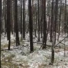 Погибшему при нападении медведя сторожу было 63 года