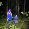 Спасатели нашли пропавшую пенсионерку, потерявшуюся в лесу Ленобласти
