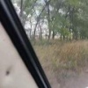 Медведь, бежавший в сторону Новокурска (Бейский район), умчался в лес....