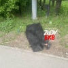 В Екатеринбурге около школы нашли труп. Всё произошло...
