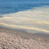 Вода в Ангаре на Якоби другого цвета, хрень какая-то... 🇷🇺 Источник: ЧП Иркутск