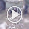 В Москве, Московской и Владимирской областях были задержаны 10 кураторов телефонных мошенников.