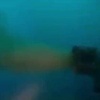 Сточная труба с говном найдена у пляжа Клеопатра в Алании — это одно из самых популярных мест у туристов