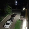 В Новокузнецке на улице Ушинского стая собак загнала кошку под машину и...