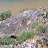 Золотодобытчики пакостят? Мана окрасилась в бурый цвет в...