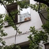 На улице Юных Ленинцев несколько недель в квартире сидят коты. Местные жители...