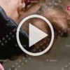 ❗️Враг дважды атаковал дронами машину съемочной группы 