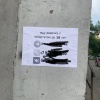В Новокузнецке на улицах появились подозрительные объявления с тревожным...
