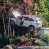 В китайском Чунцине засняли самое красивое ДТП — водитель внедорожника не справился с управлением, вылетел с дороги и каким-то образом застрял между электрощитком и цветущими деревьями.