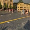 Москвича арестовали на пять суток за выгул козы на Красной площади.