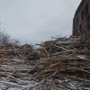 Лесопилка в Канске завалила округу опилками: прокуратура добилась очистки территории через суд