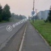 Медведя заметили в Усть-Илимске.