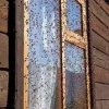 «Эпичные кадры нашествия божьих коровок»