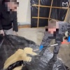 Завод по производству мефедрона накрыли в Новгородской области. Более тонны...