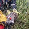 В Ферганском проезде в прутьях на собачей площадке застрял ежик. Местная...