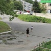 Две школьницы закидали камнями женщину-инвалида