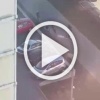 В московском Бутово козлы и козлихи обрадовались хорошей...