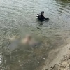 В Брянской области утонул мужчина 1985 года рождения Тело погибшего подняли...