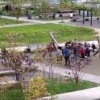 В поселке Боброво на детской площадке дети в ходе игры поменялись машинками...