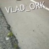 🐅На трассе под Уссурийском сбили тигра, краснокнижное животное погибло на месте.