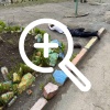 Во Владивостоке старшеклассник покончил с собой, упав с крыши 9-этажки