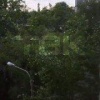 Траву начали косить рано утром