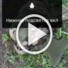 Xoxлы мчались на свиновозке на наши позиции на Купянском...