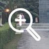 В Саратовской области табор цыган надругался над Вечным огнем