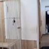 ❌ Еще троих членов преступной группы задержали в Приморье, мошенники обманывали людей под видом ввоза машин из Японии