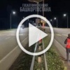 В Башкортостане местные кабаны сделали скачок в эволюции...