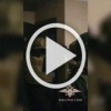 Петербургские силовики задержали троих пособников...