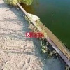 Красноярцы просят установить решетку на одном из городских водоемов