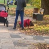 Милота дня: свинюшку в теплом костюмчике заметили в Черкизовском парке.