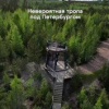 Эко-тропа «Ярви» в Ленобласти