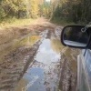 Обыски прошли в краевом Минприроды из-за гибели людей от медведей Следком...