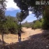 В США полицейские застрелили 20-летнего аутиста, пытавшегося покончить с...
