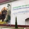 На одном из фасадов школы 59 в Брянске появился величественный мурал.
