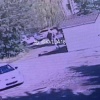 Момент теракта в Луганске попал на камеры наблюдения Записи с камер...