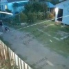 Живодёр натравил бойцовских псов на дворнягу и зарубил её мачете под Краснодаром