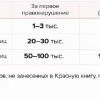 Штрафы за сбор и продажу краснокнижных грибов ввели в Подмосковье.