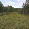 В Красноярском крае выявили более 58 тыс. га неиспользуемых сельхозземель С...