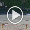 В Пензенской области собаку переехали прямо на тротуаре