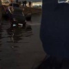 На Университетской набережной машина съехала в Неву, после чего авто отнесло...