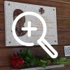 Как увековечивают память погибших на СВО белгородцев рассказали на заседании Правительства