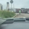 Подмосковная доставка младенцев