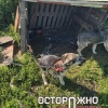 Осторожно, жесткие кадры! В Люберецком районе жители заявили в полицию на...