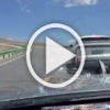 Сурки перекрыли дорогу в Китае: парочка начала выяснять...