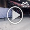 Трансы* подрались с девушками у ночного клуба в Новосибирске